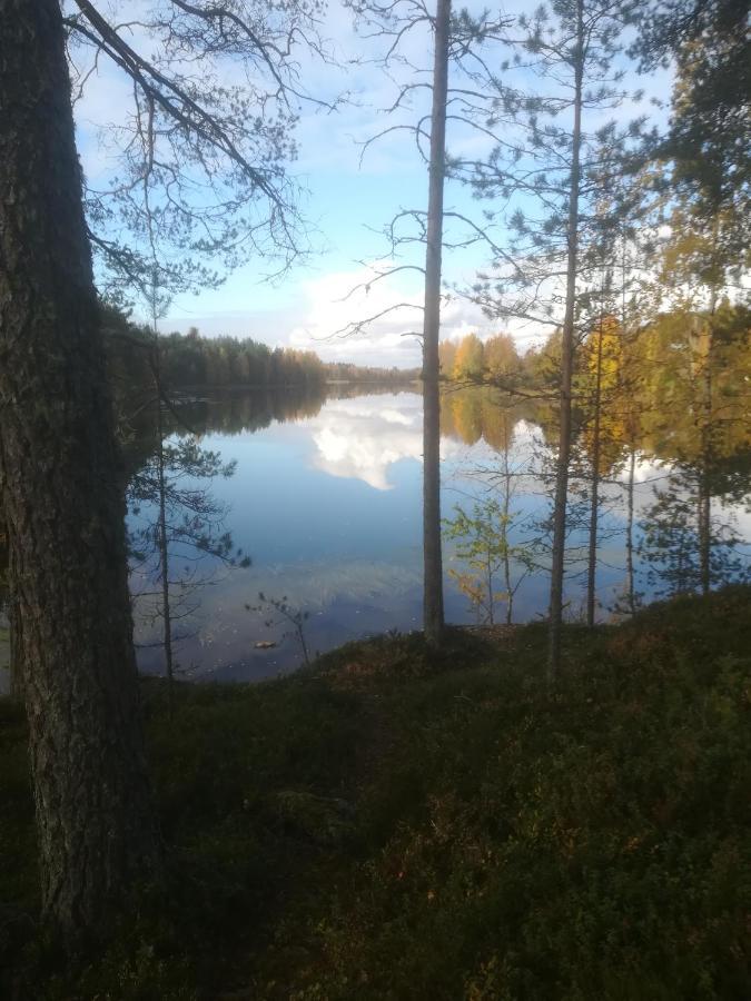 Vila Tiirantuvat Juankoski Exteriér fotografie